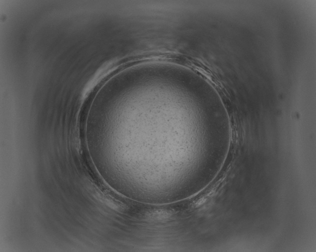 X0000074230198200608251122