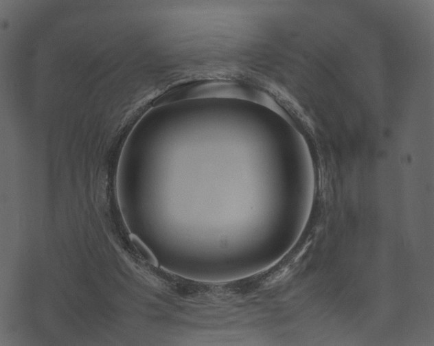 X0000074230201200608251122