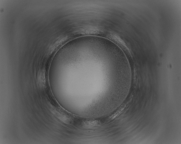 X0000074230202200608251122