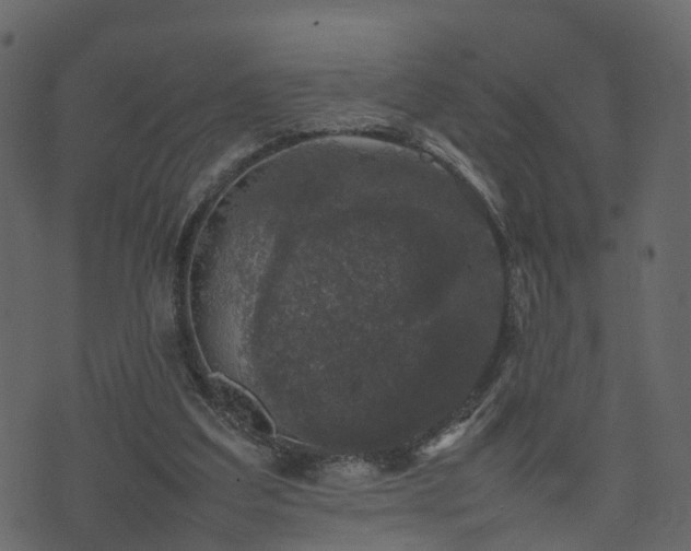 X0000074230203200608251122