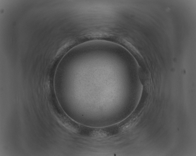 X0000074230207200608251122