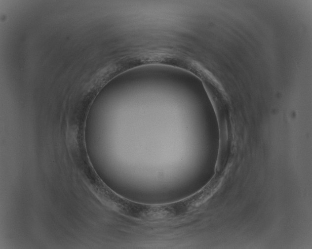 X0000074230209200608251122