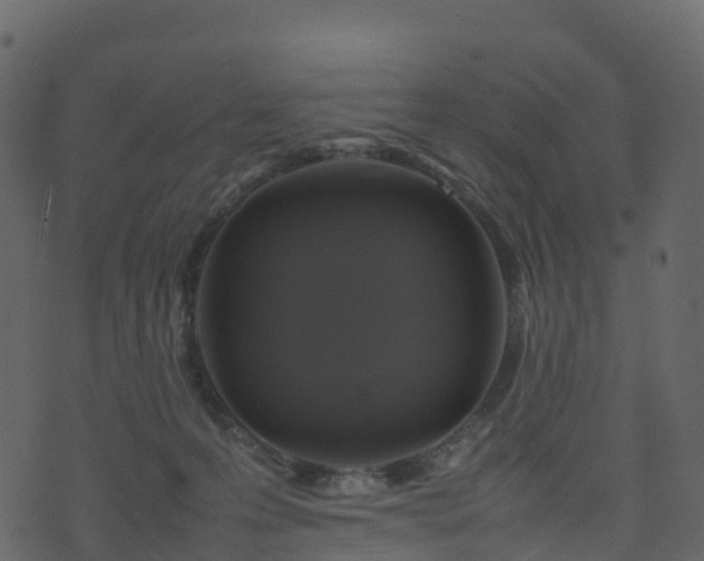 X0000074230223200608251121