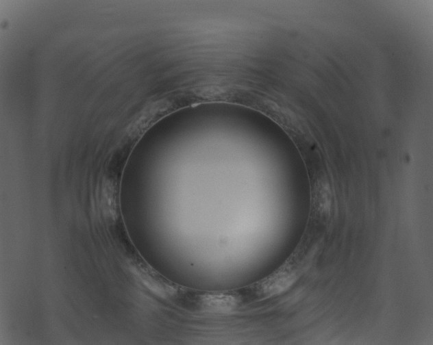 X0000074230234200608251121