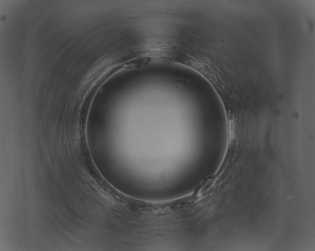 X0000074230243200608251120