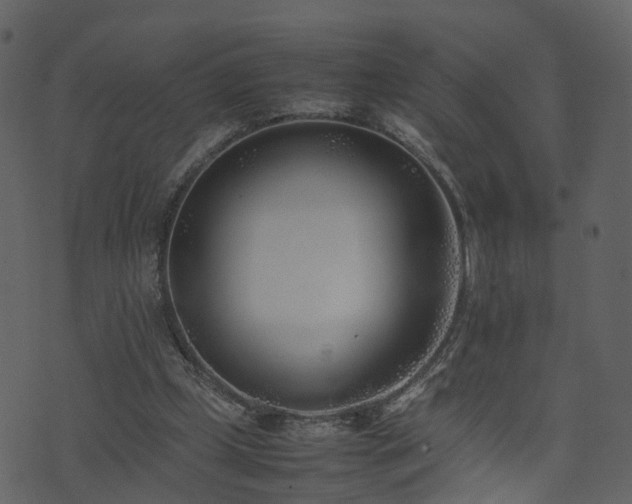 X0000074230249200608251120