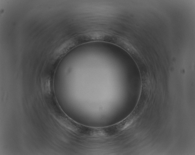 X0000074230262200608251121