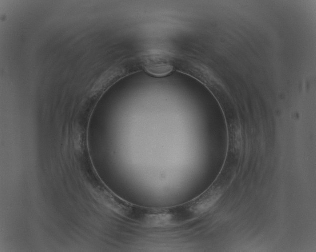 X0000074230266200608251121