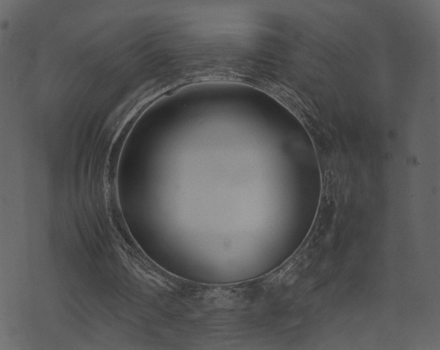 X0000074230290200608251120