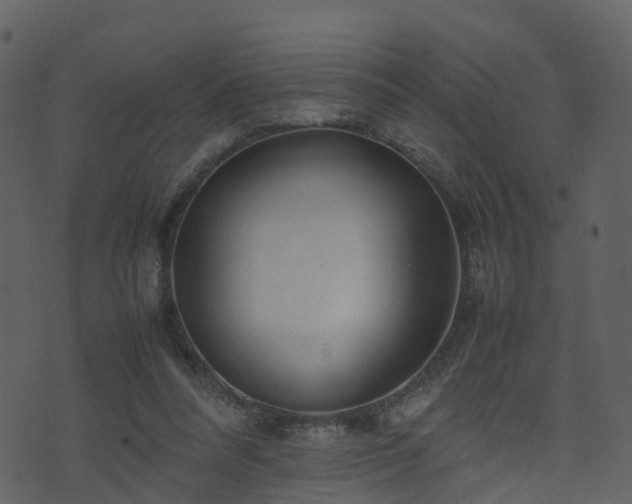 X0000074230304200608251120