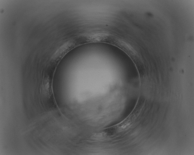 X0000074230314200608251120