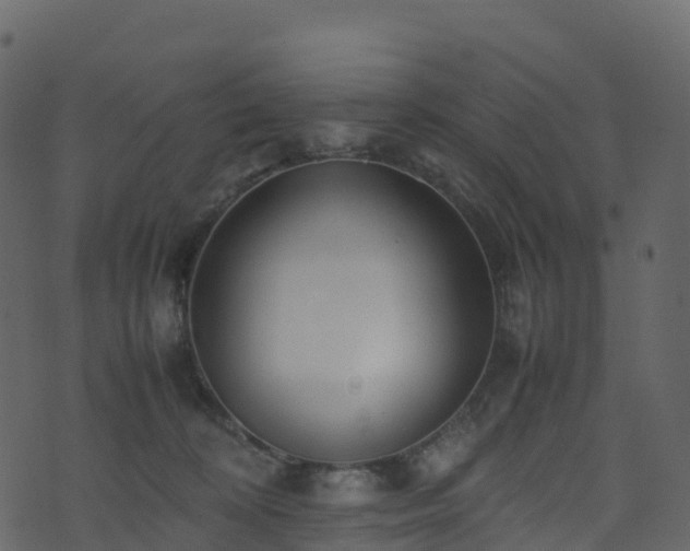 X0000074230324200608251120