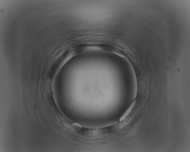 X0000074230325200608251120