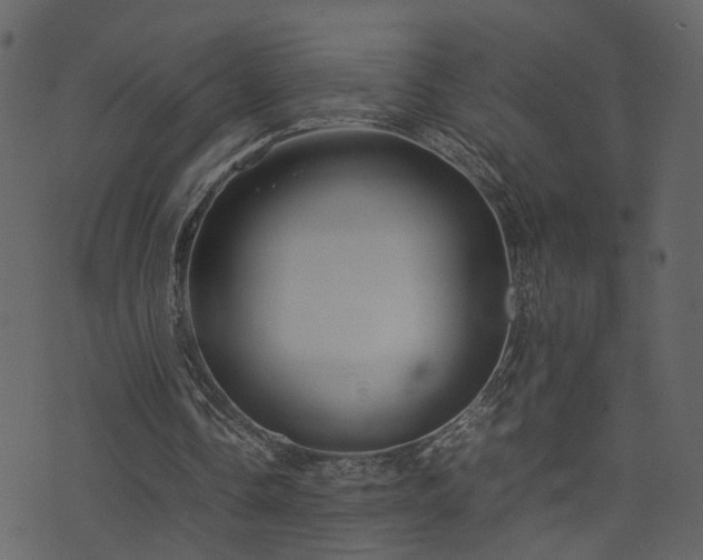 X0000074230338200608251119