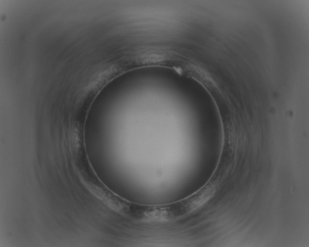 X0000074230362200608251119