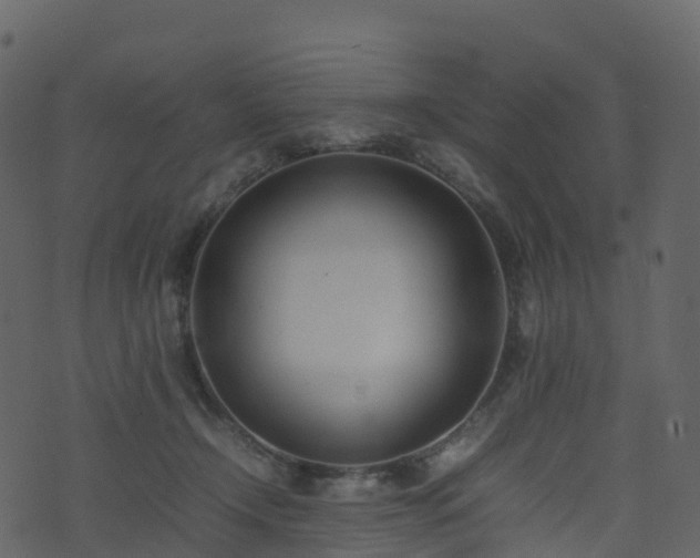 X0000074230366200608251119