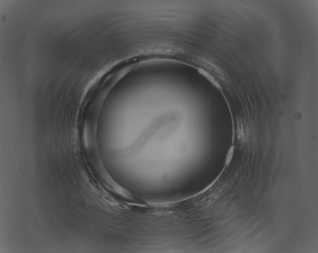 X0000074230388200608251119