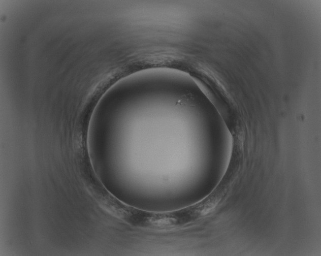 X0000074230407200608251118
