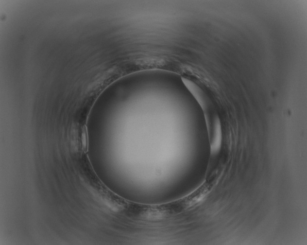 X0000074230416200608251118