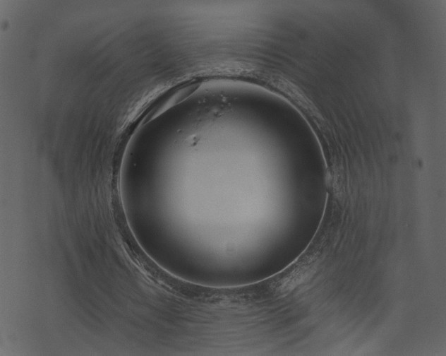 X0000074230434200608251117