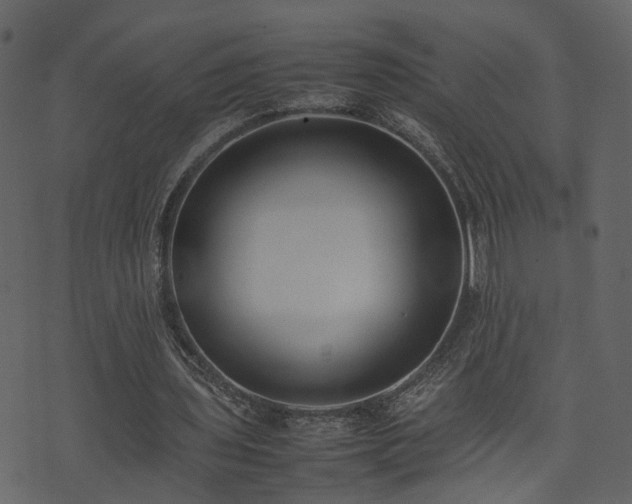 X0000074230435200608251117