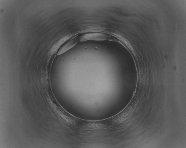 X0000074230437200608251117