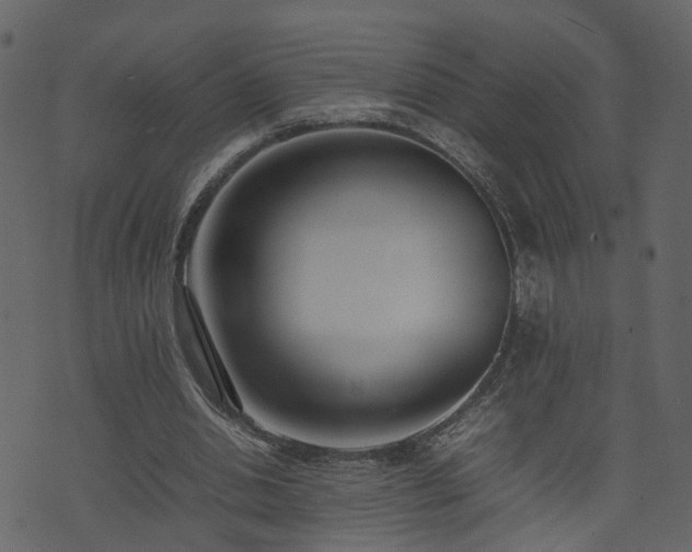 X0000074230438200608251117