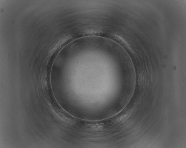 X0000074230443200608251117