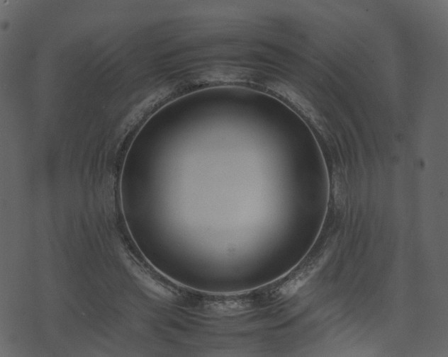 X0000074230445200608251117