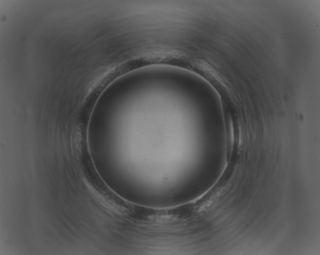 X0000074230448200608251117