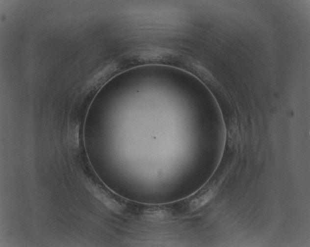 X0000074230454200608251117