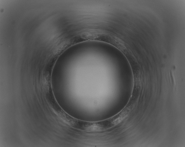 X0000074230460200608251117