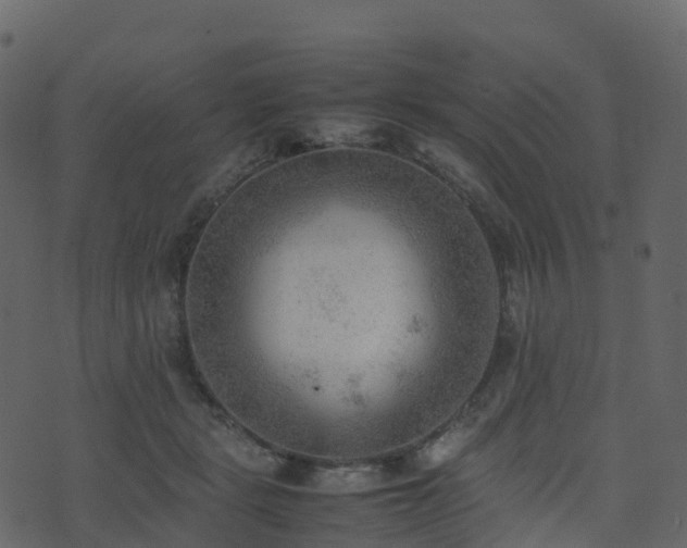 X0000074230461200608251117