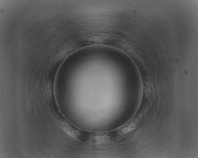 X0000074230466200608251118