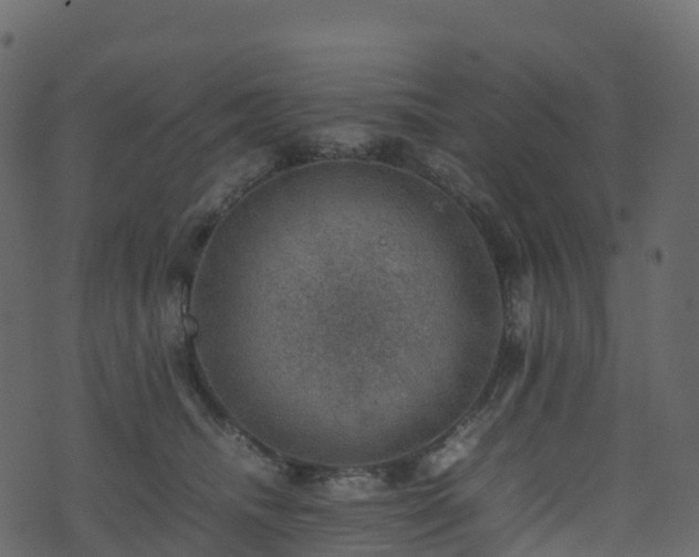 X0000074230468200608251118