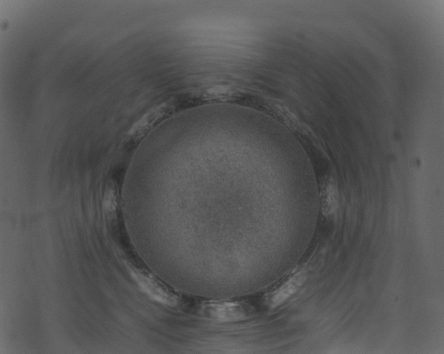 X0000074230472200608251118