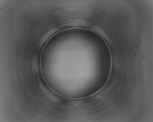 X0000074230482200608251117