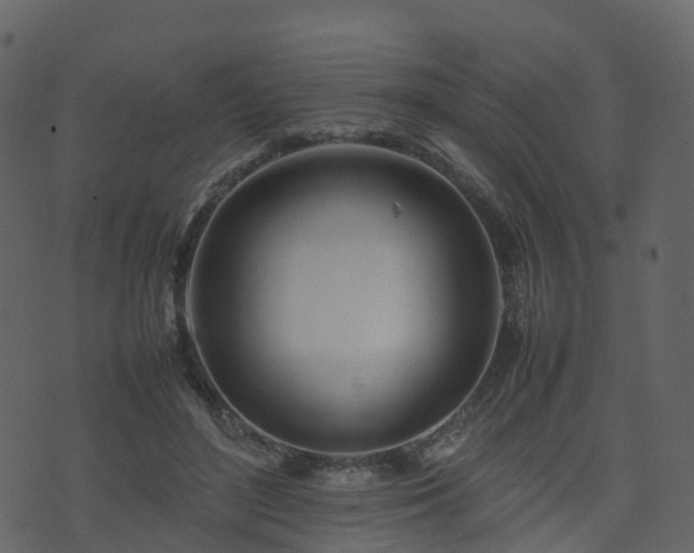 X0000074230500200608251117