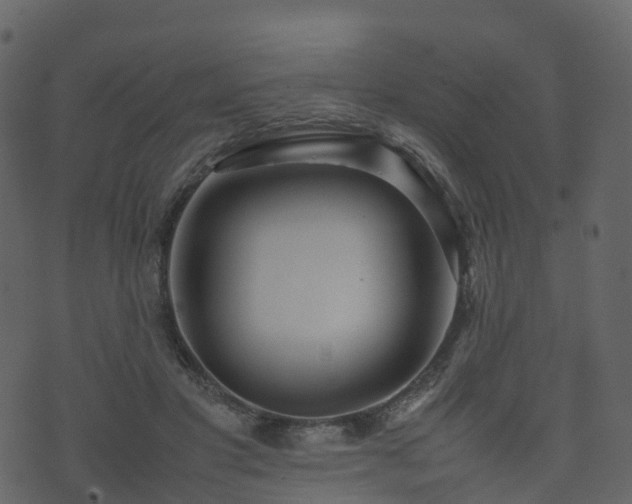 X0000074230501200608251117