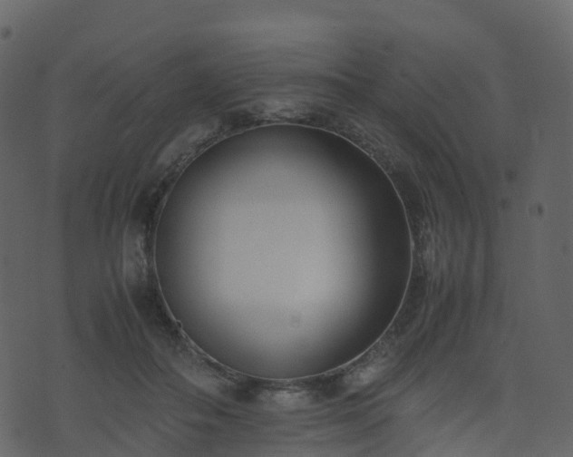 X0000074230506200608251117