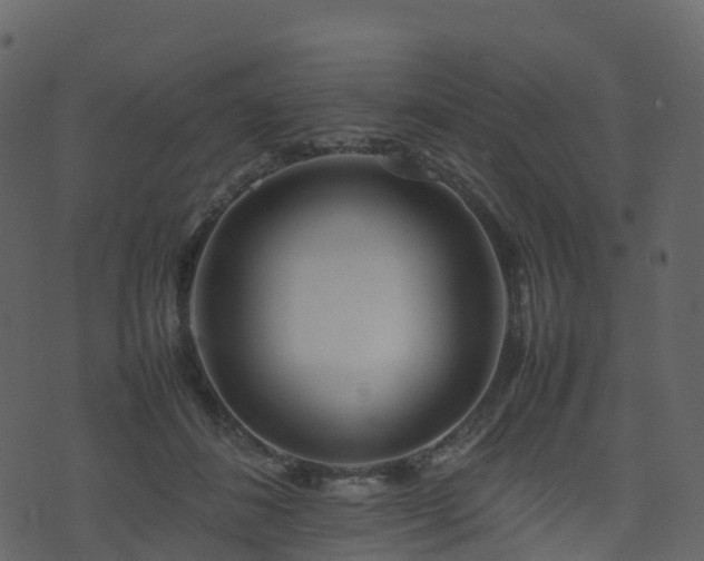 X0000074230508200608251117