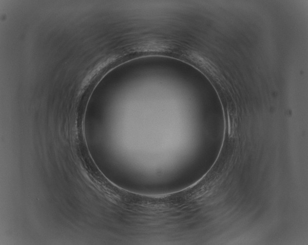 X0000074230531200608251115