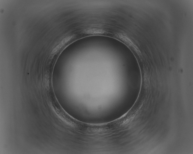 X0000074230533200608251115