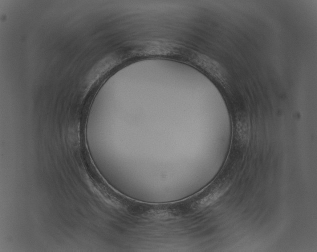 X0000074230534200608251115