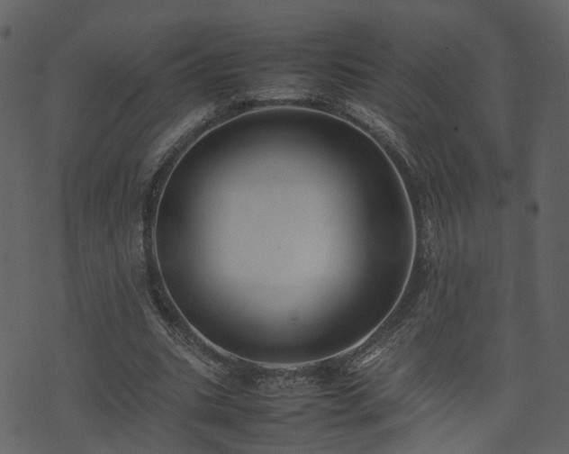 X0000074230535200608251115