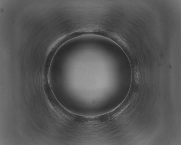 X0000074230536200608251116