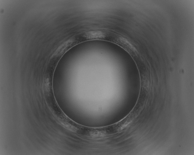 X0000074230549200608251116