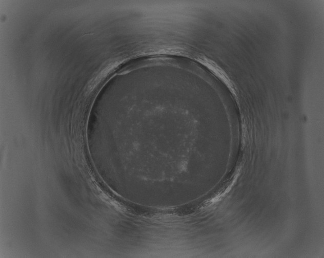 X0000074230577200608251115