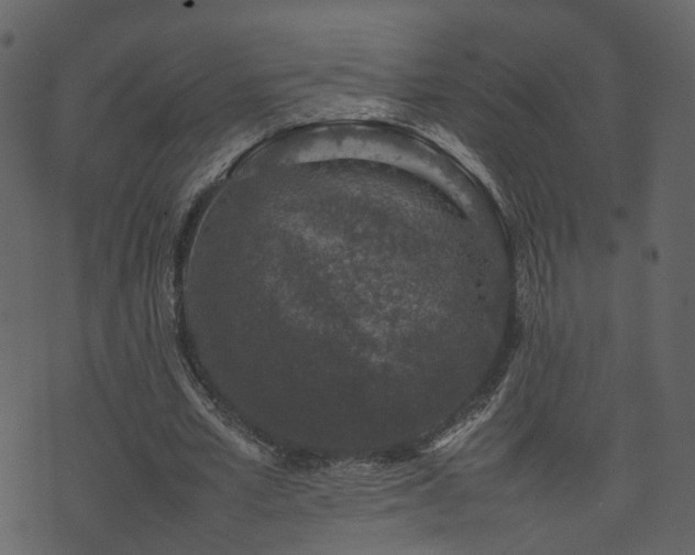 X0000074230581200608251115