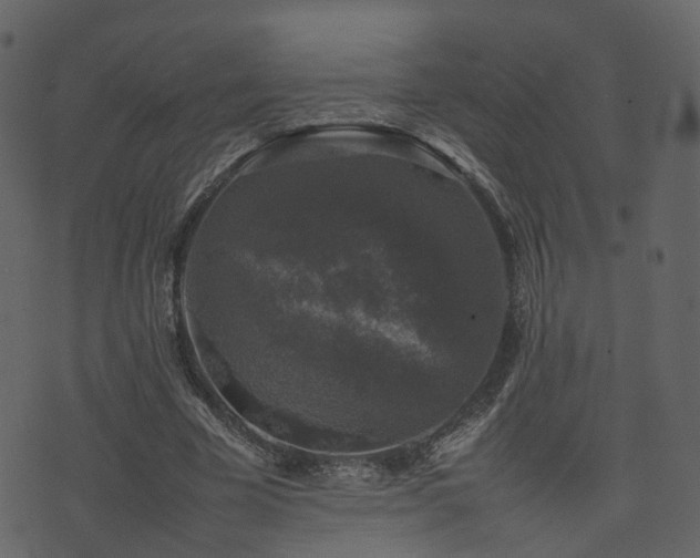 X0000074230585200608251115